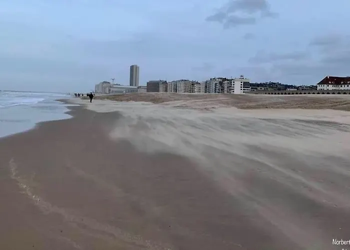 Hill4 Apartamento Ostend